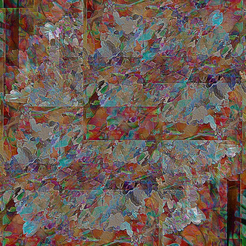Fragmented Petals - 16th Annual Botanicals entry