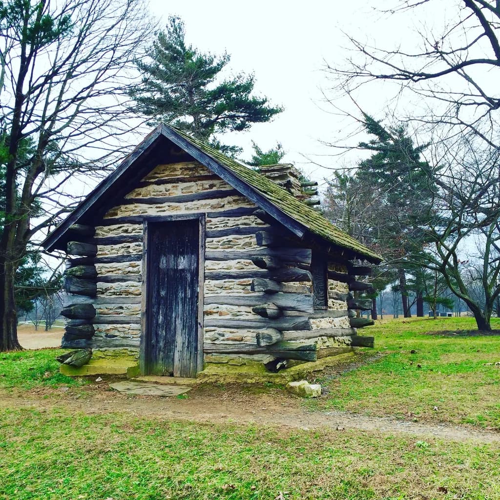 Rustic Log Haven