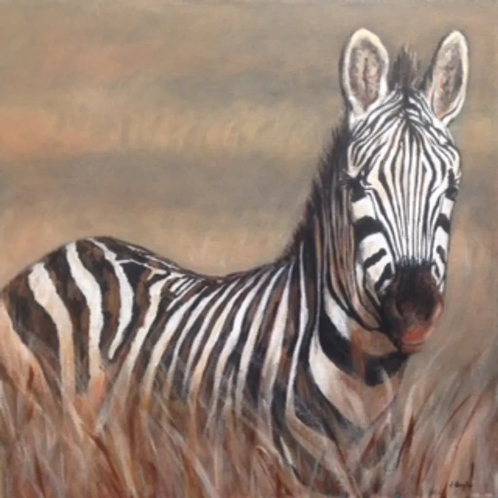Blissful Zebra