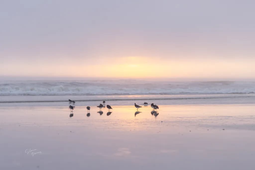 Quiet Shoreline Gathering