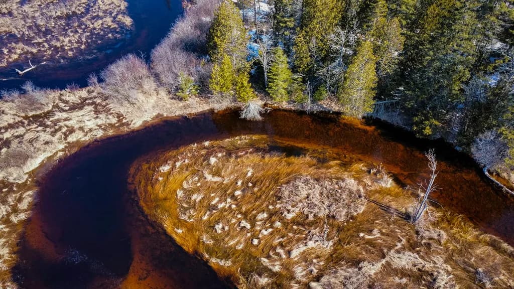 Spring Meander