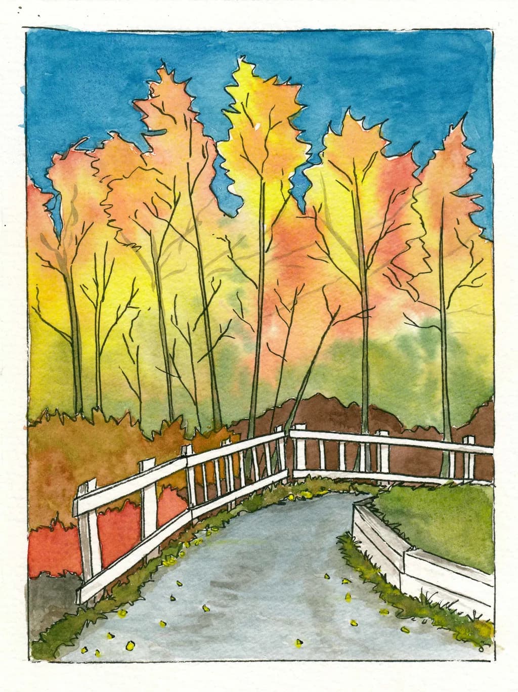 Gaspé Forest Path