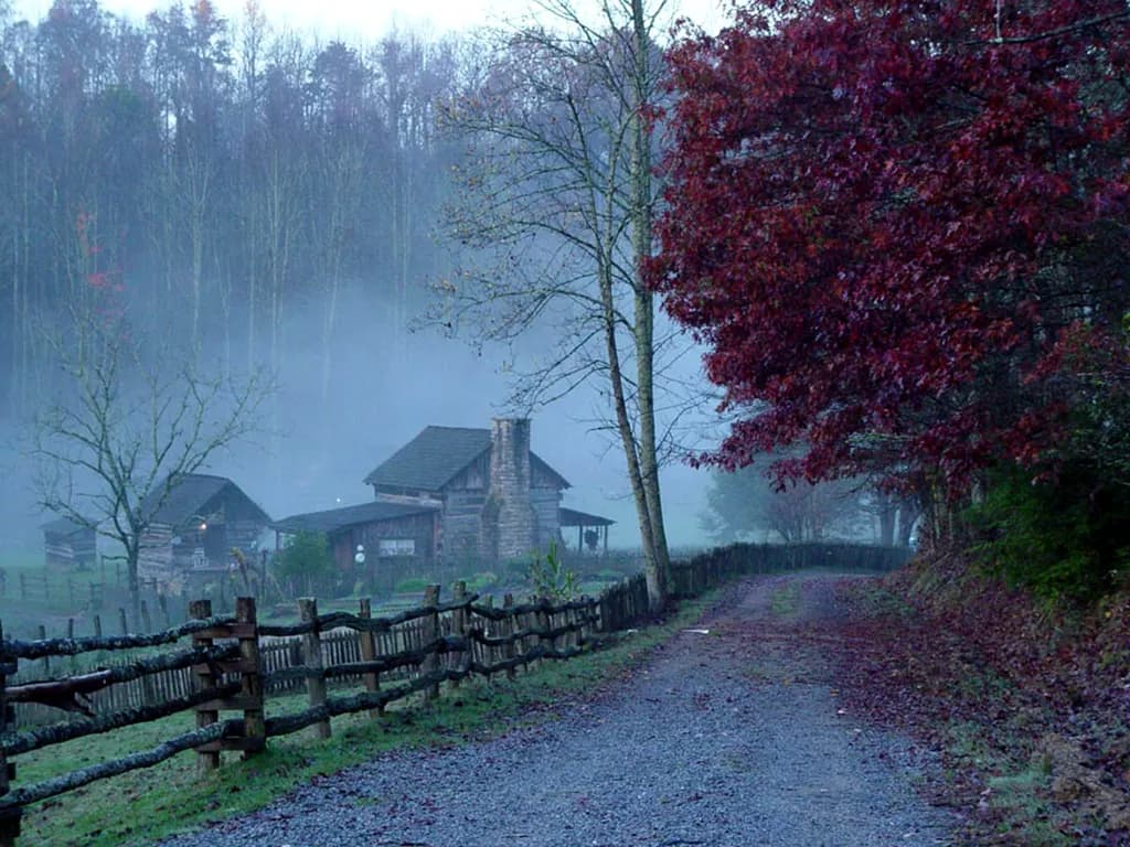 Misty Morning Path