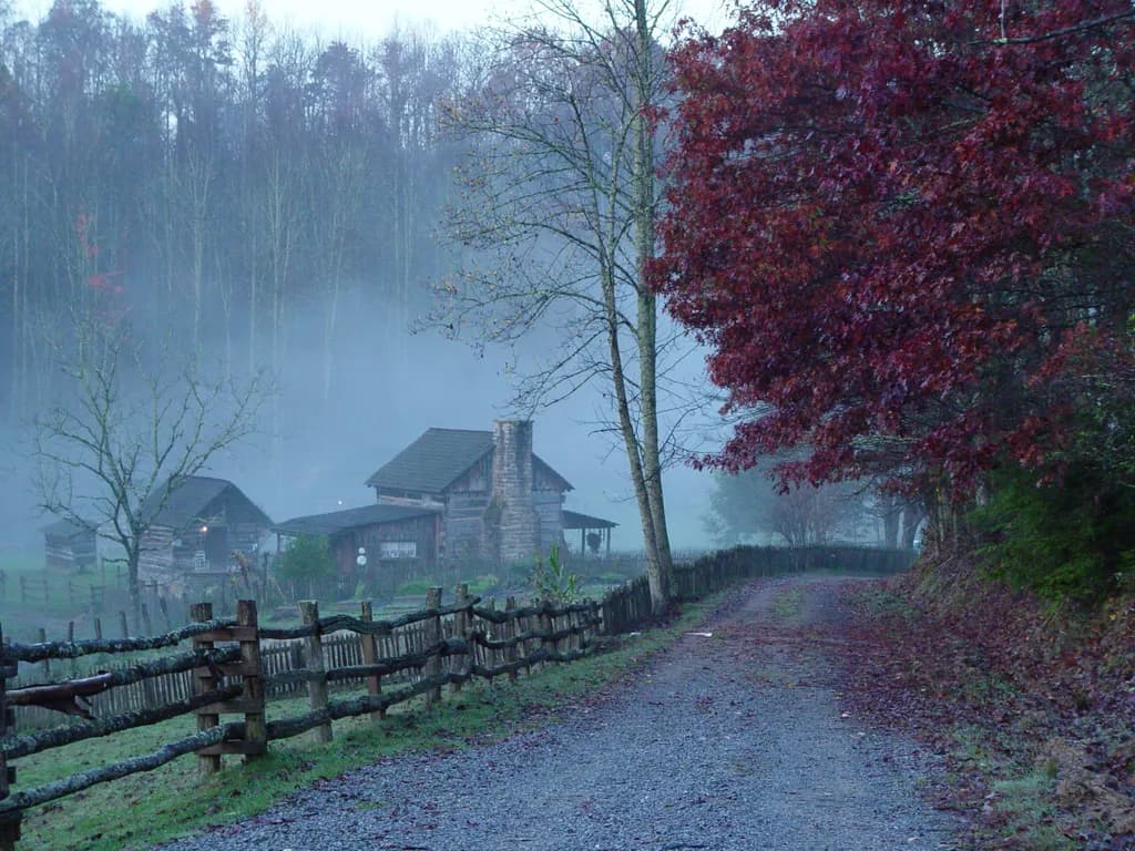 Morning Path