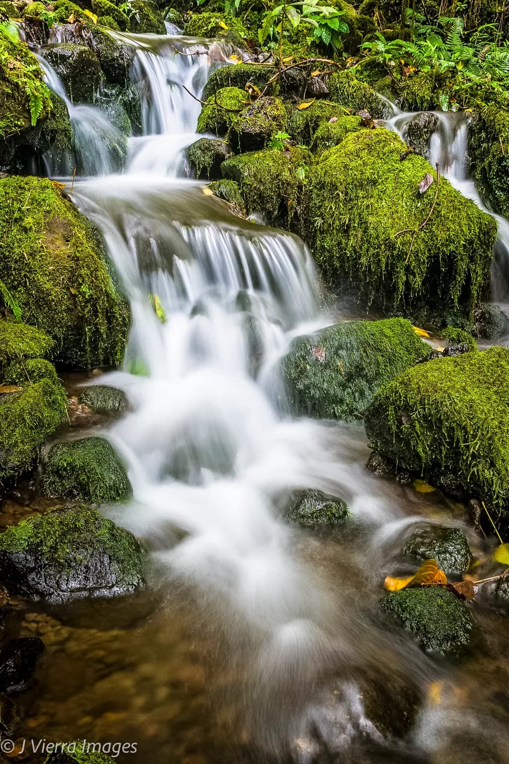Hamama Falls