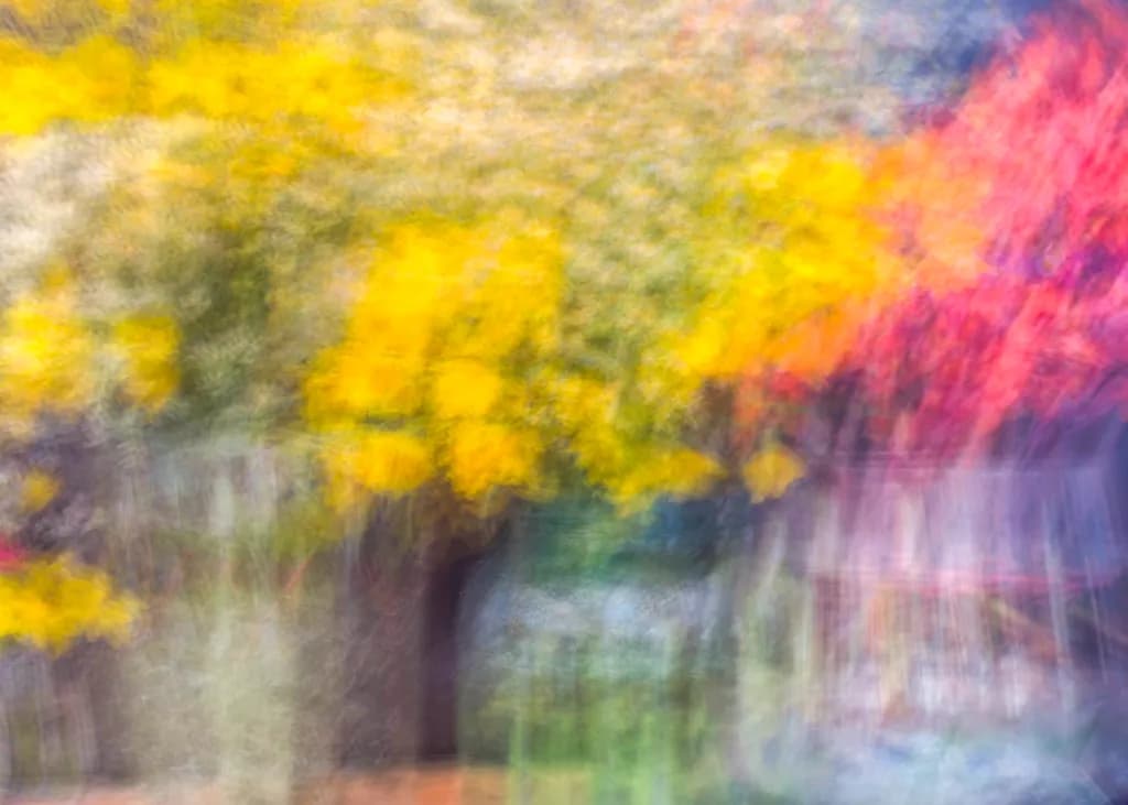 Gallery Flowers Blur