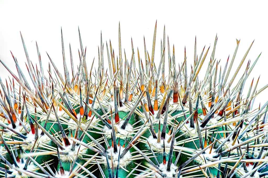 Spiked Elegance