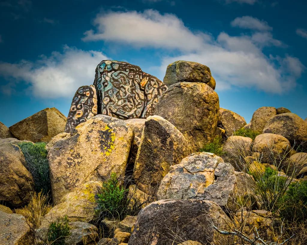 Petroglyphs in Nature