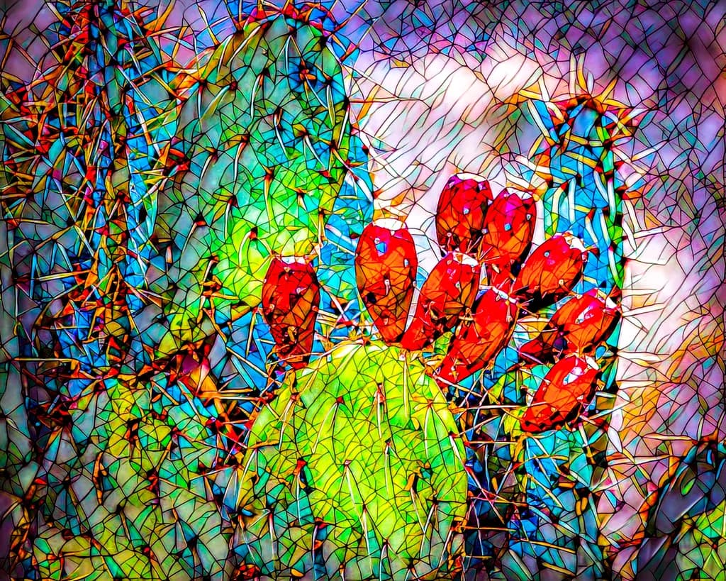 Prickly Puzzle