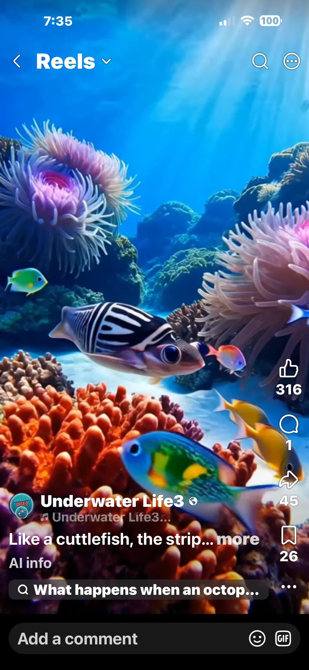 Coral Reef Symphony