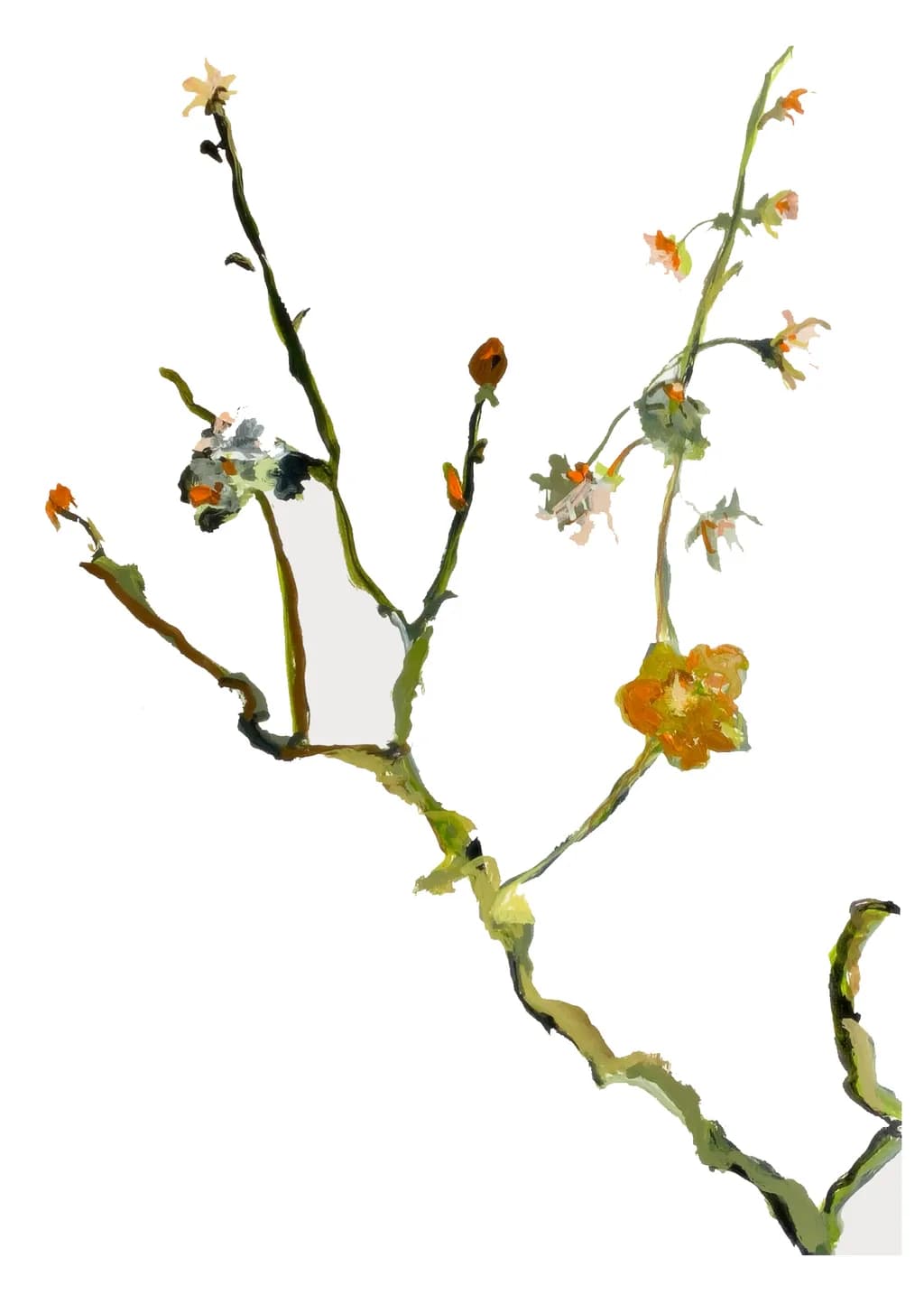 Fragile Flowers
