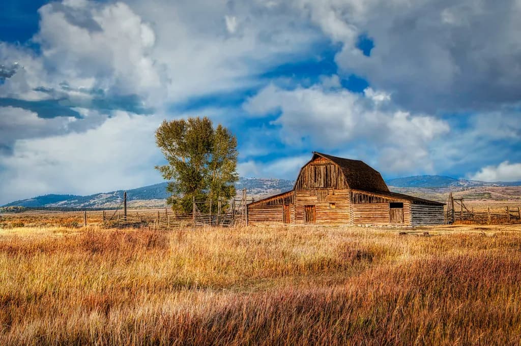 Rustic Barn Fall
