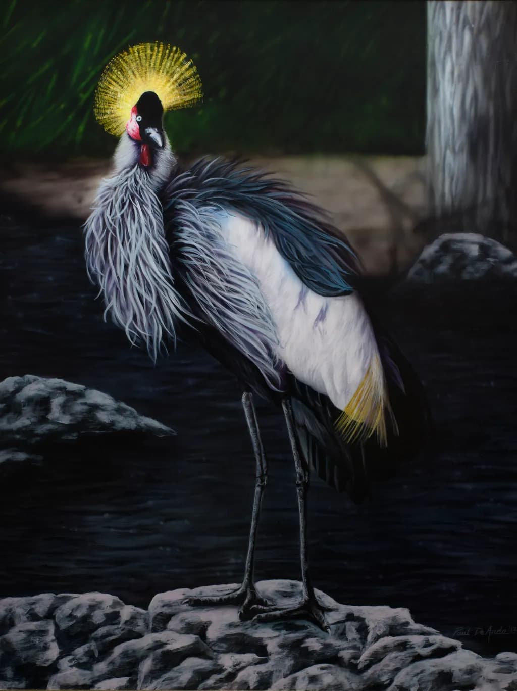Crowned Crane on Rock