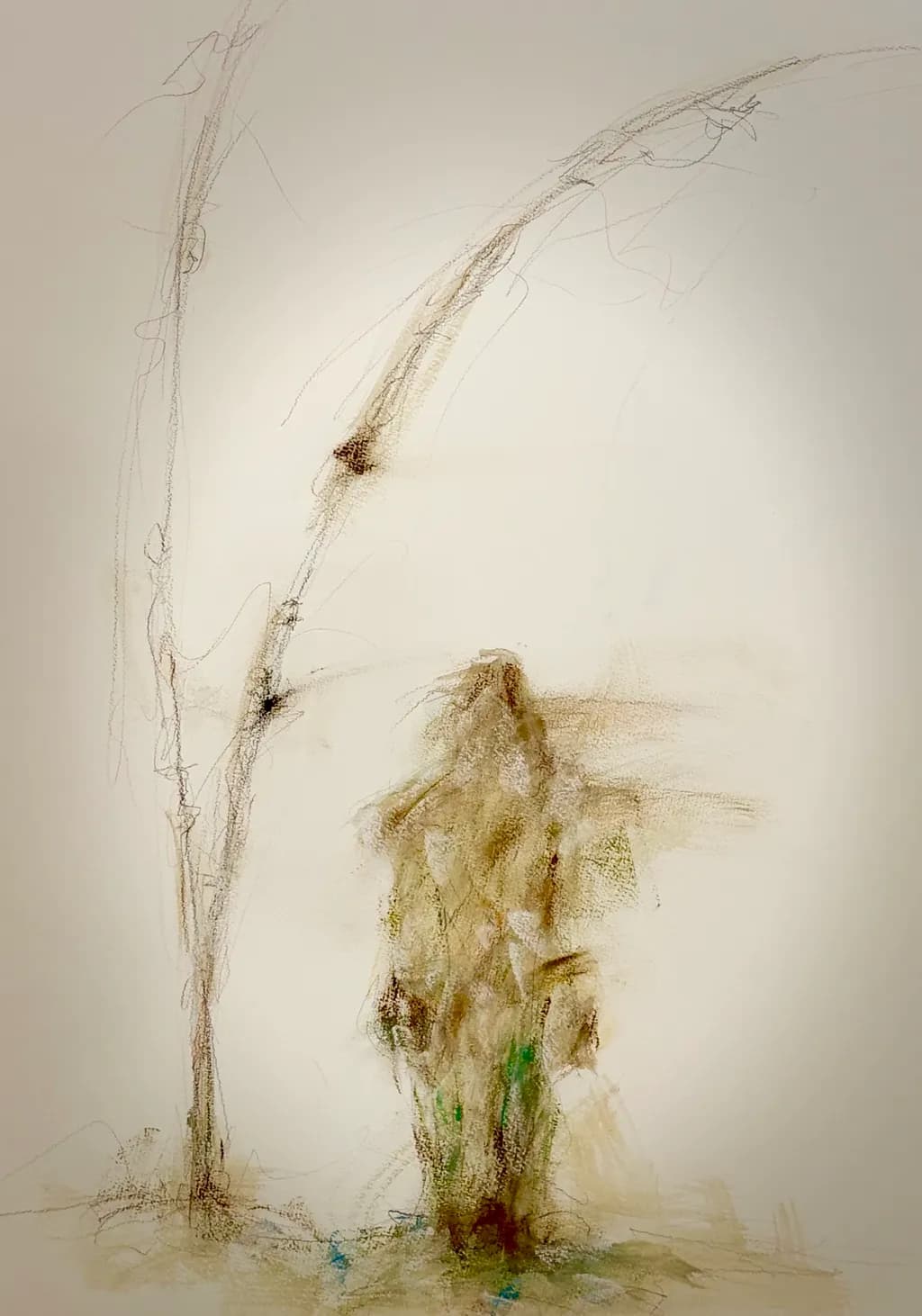 Abstract Figure Sketch