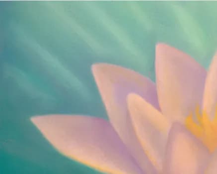 Whispers of Serenity: A Soft Embrace of a Water Lily in Tranquil Waters