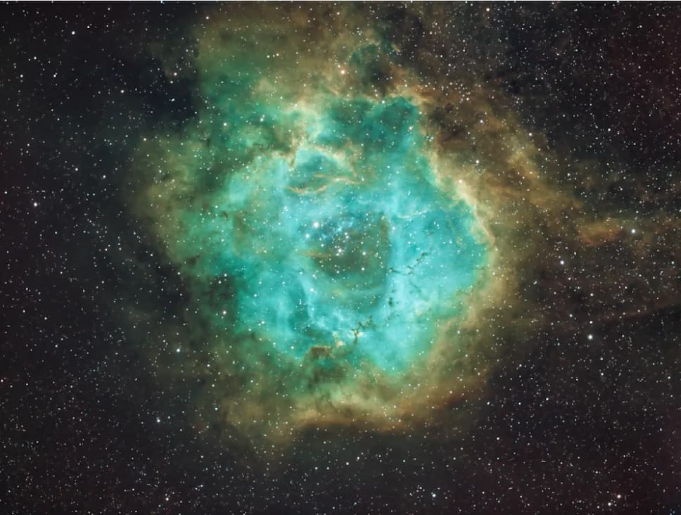 Celestial Whispers: A Journey Through the Cosmic Rose Nebula