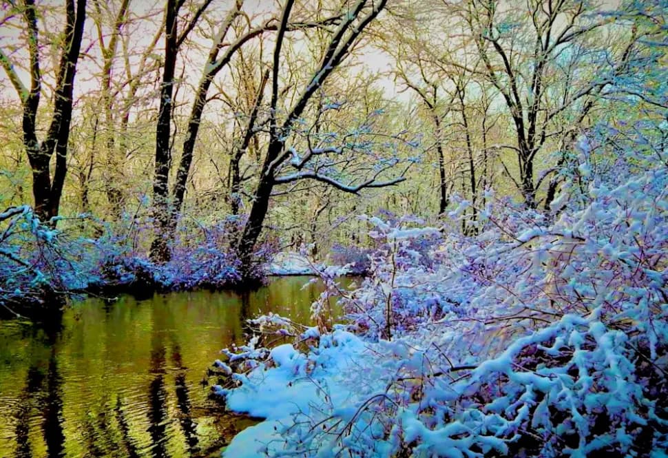A Winter's Tale The Beauty of Snow and Water