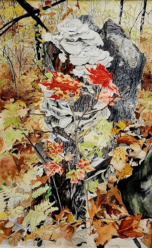 Whispers of Autumn: A Woodland Symphony of Leaves and Fungi