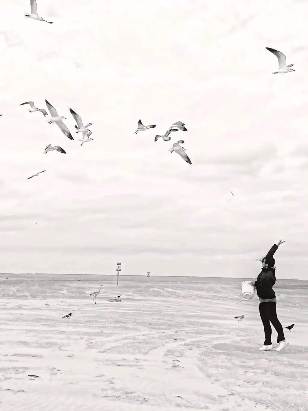 Tossed Moments