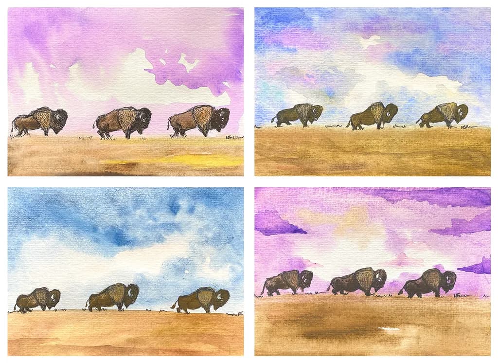 Bison Trio Square Off