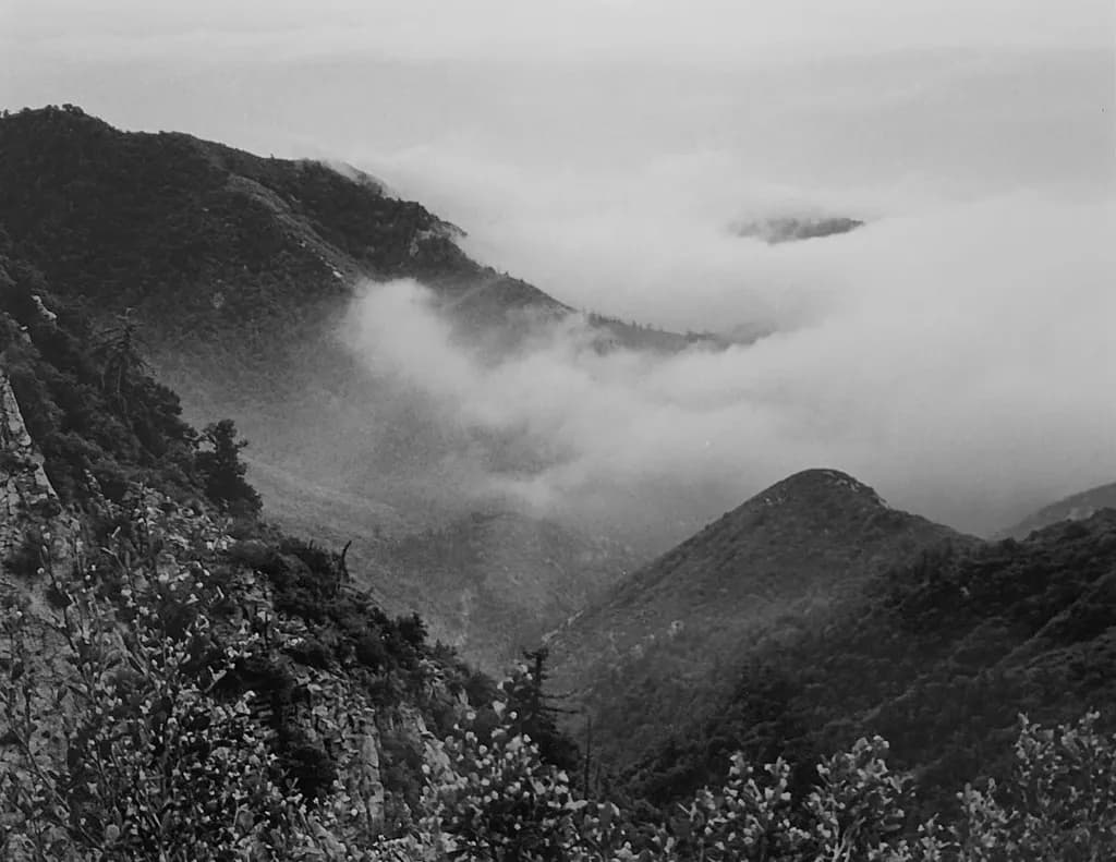 Mount Wilson Mist