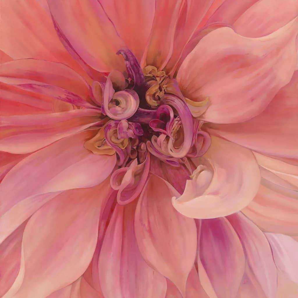 Hello Dahlia