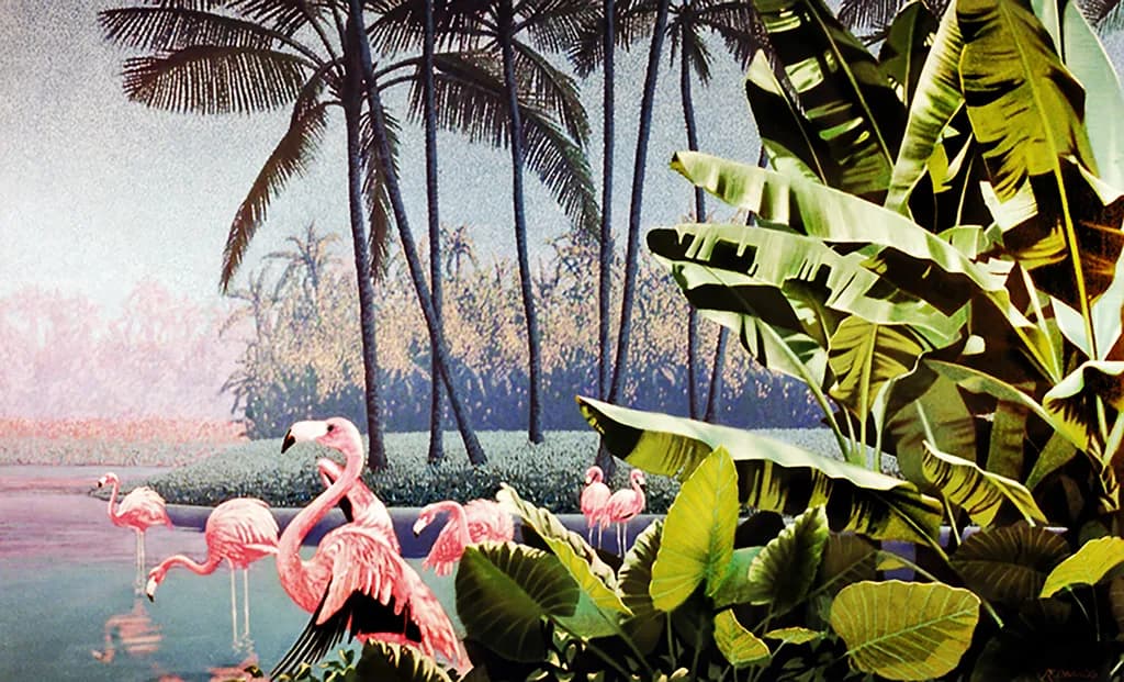 Flamingo Lagoon