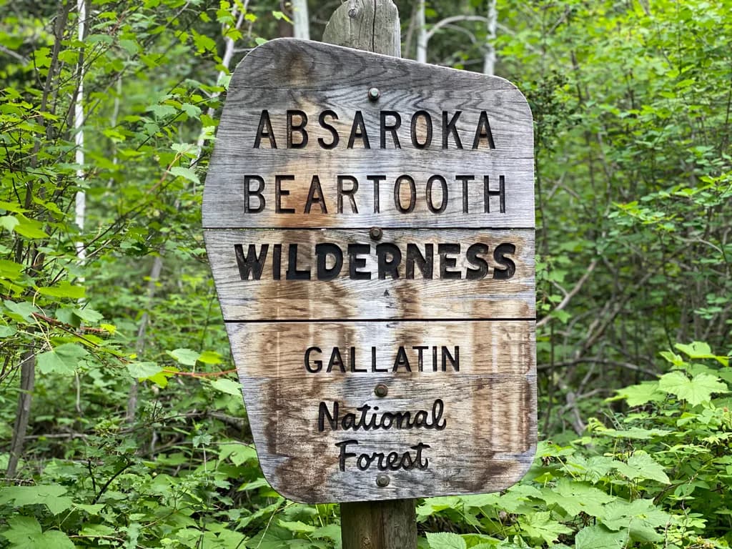 Welcome to the Wilderness