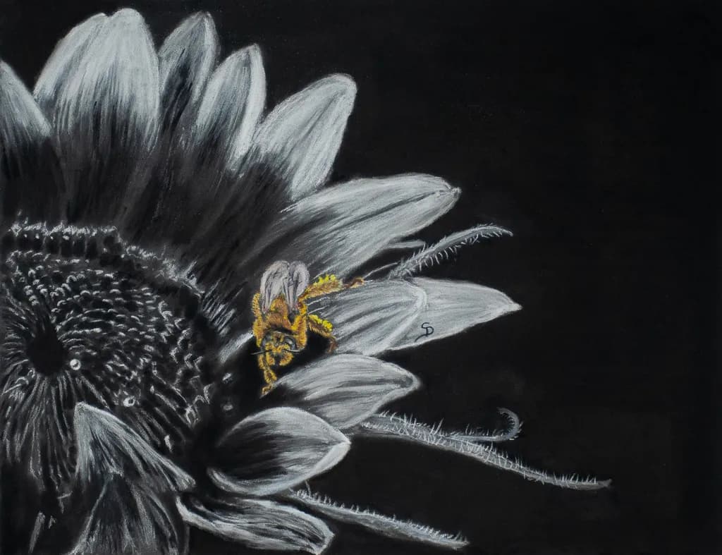 Bee’s Embrace