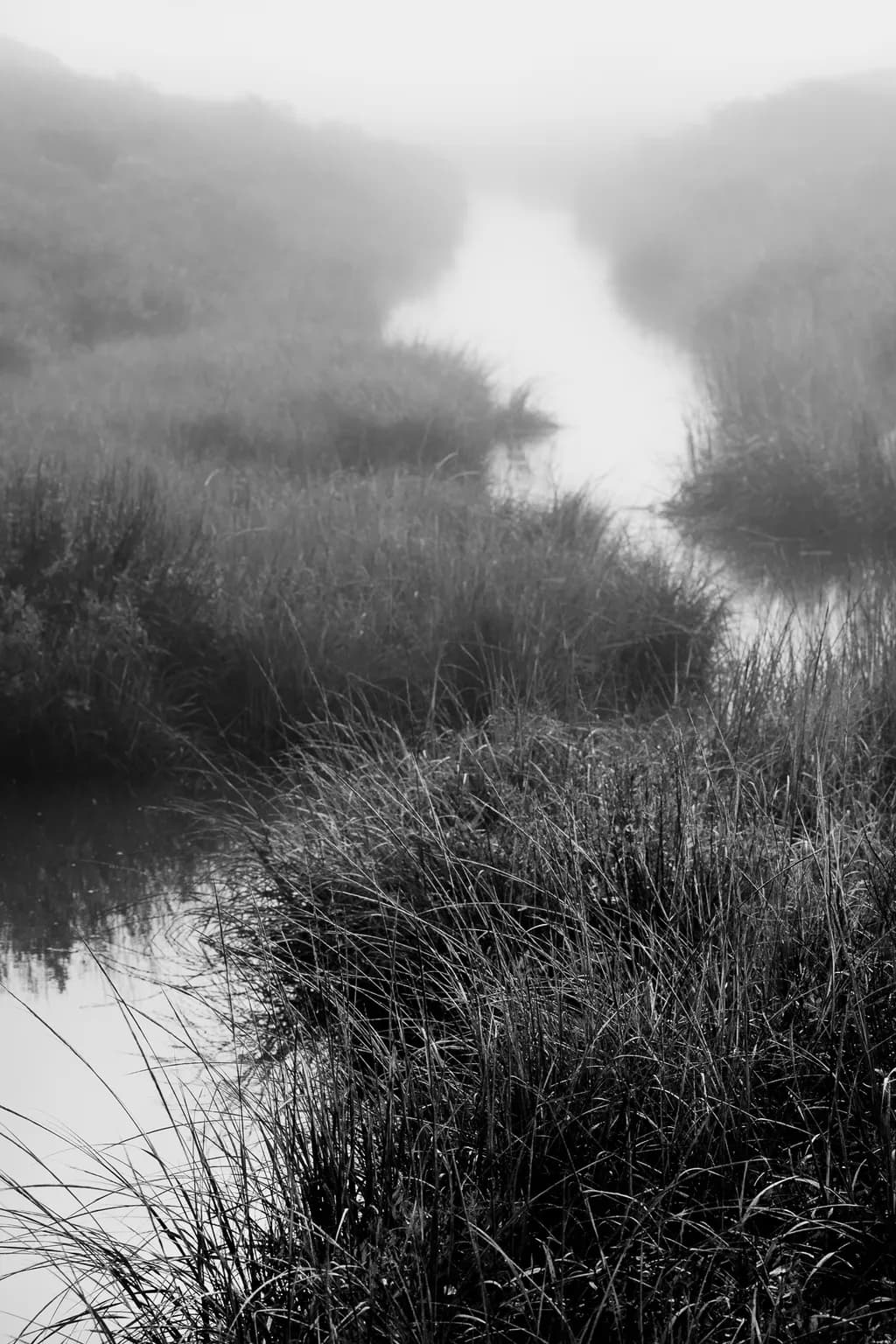 Marshland Passage