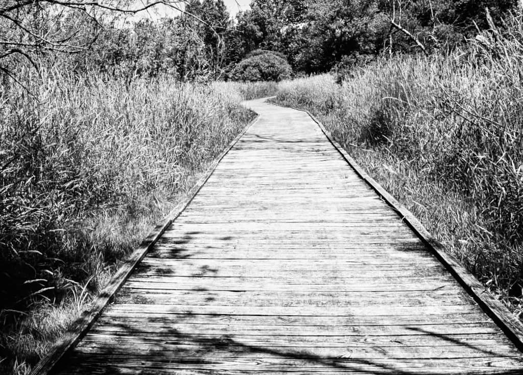 Boardwalk Passage