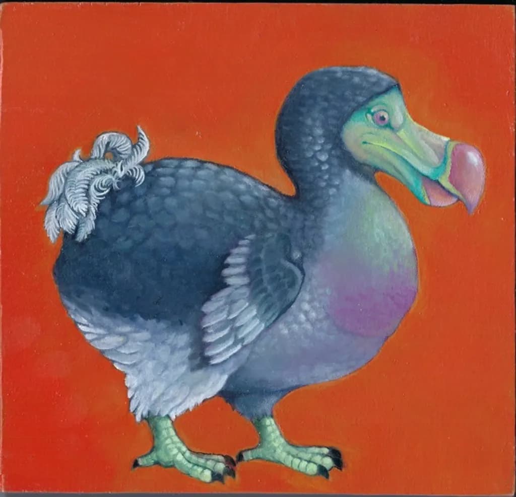 Dodo Bird