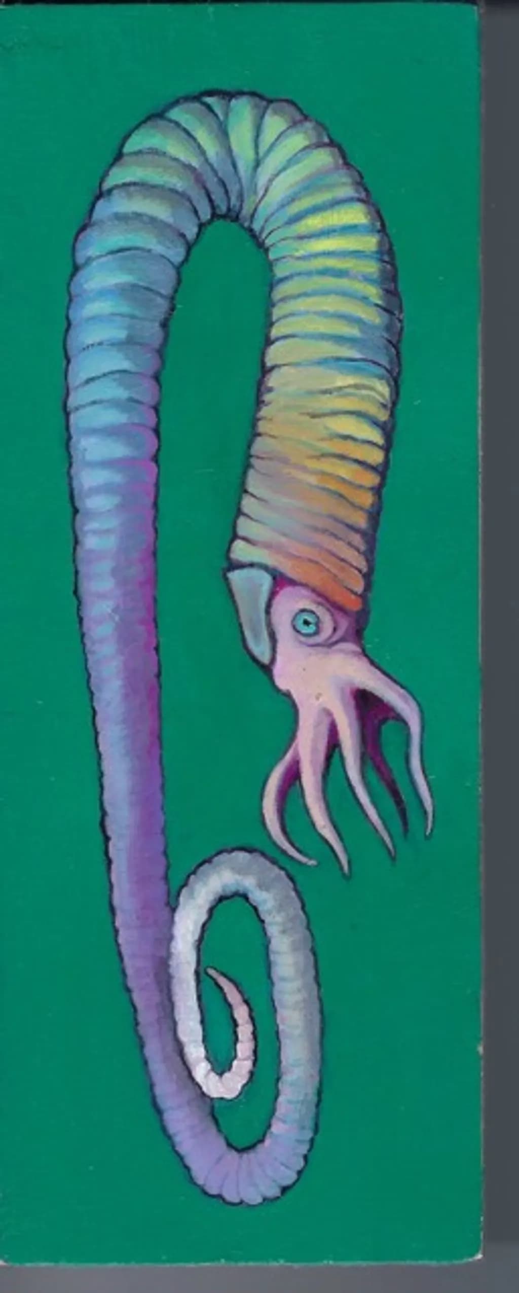 Diplomoceras Drift