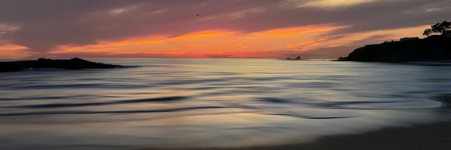 Profilbanner