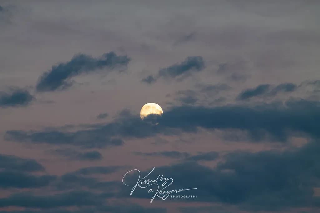Moonlit Veil