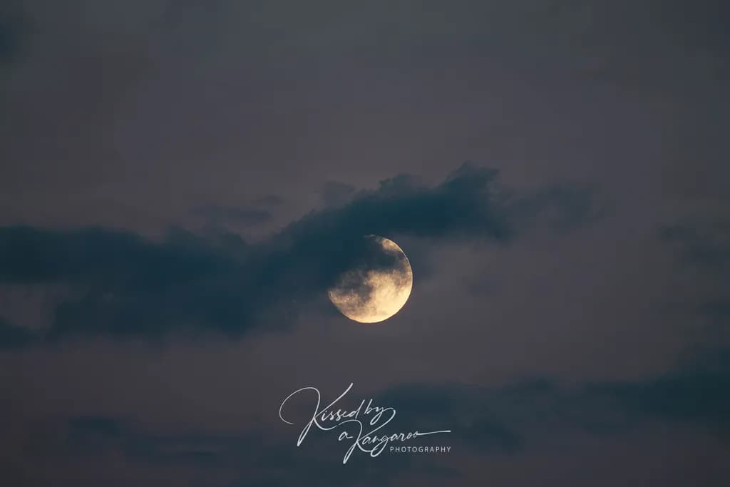 Veiled Moonlight