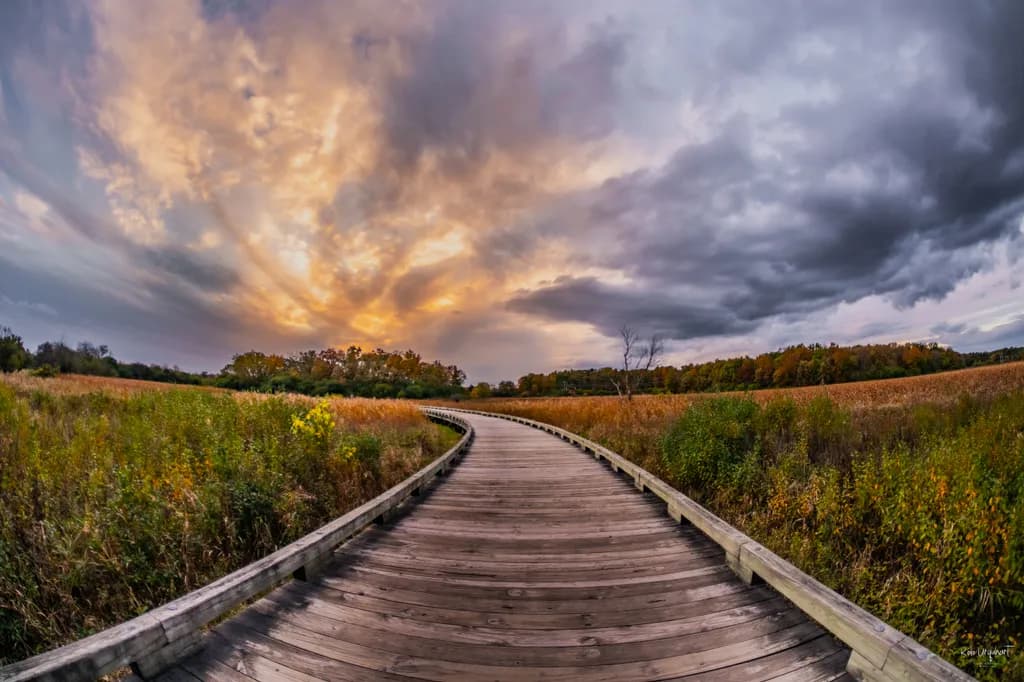 Golden Pathway