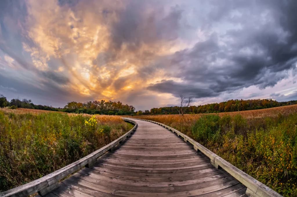 Autumn Boardwalk Twilight