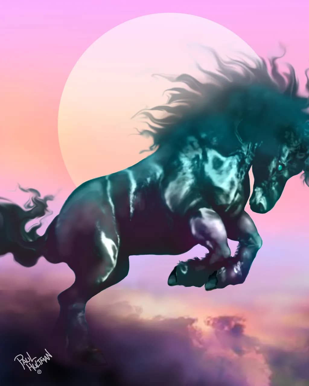 Stallion