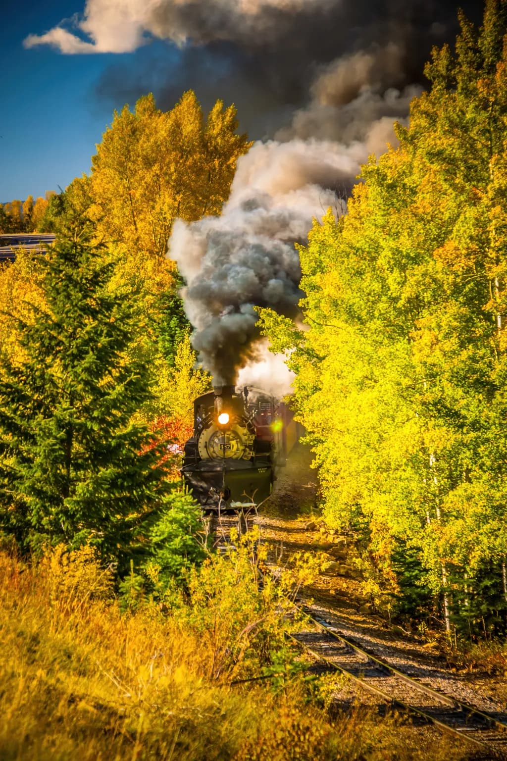 Steam Through Golden Aspens