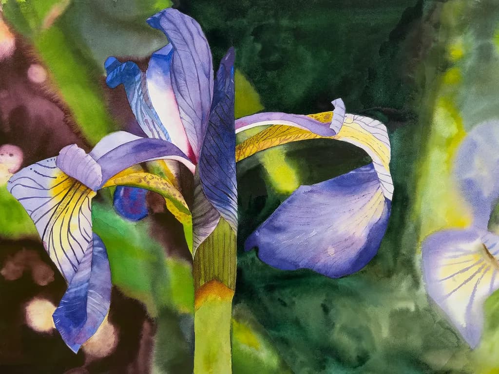Iris Bloom