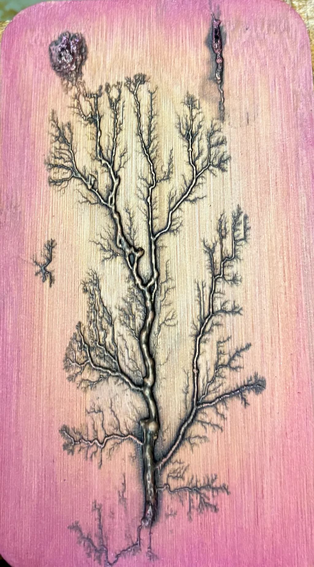 Charred Branches