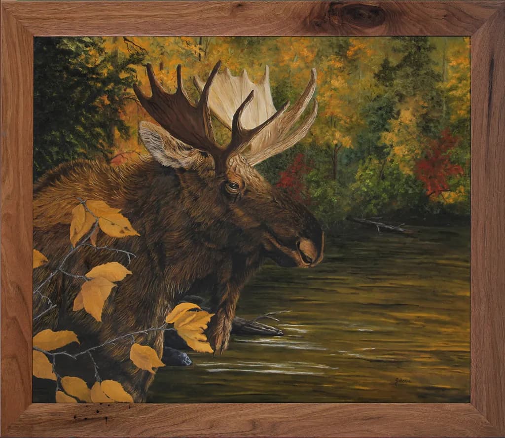 Backwater Moose