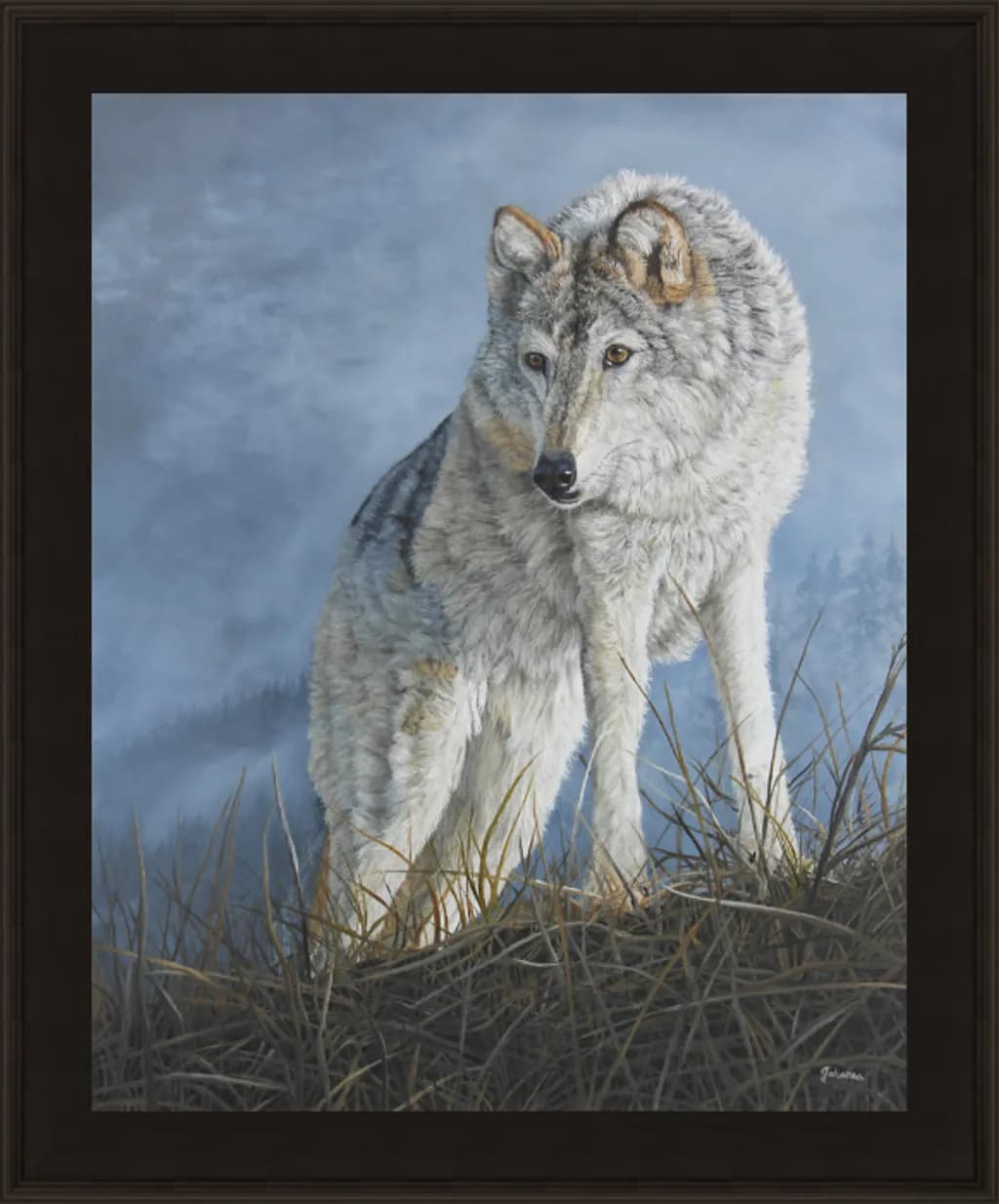 Focused Wolf