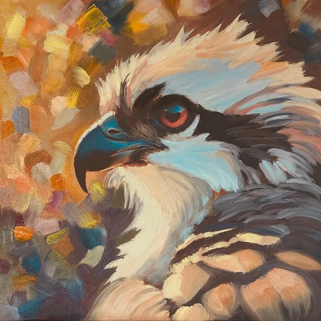 Contemplative Flight
