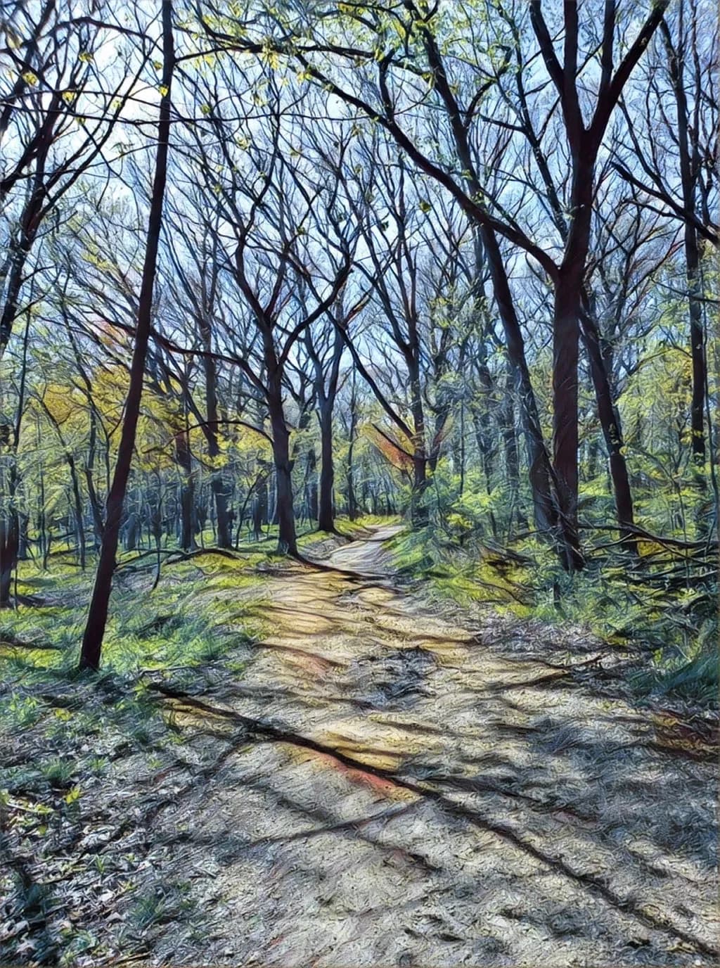Forest Pathway