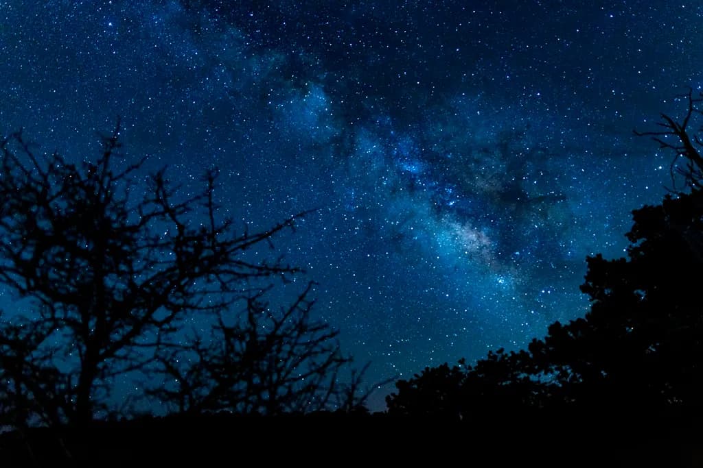 Milky Way Over Silhouetted Trees