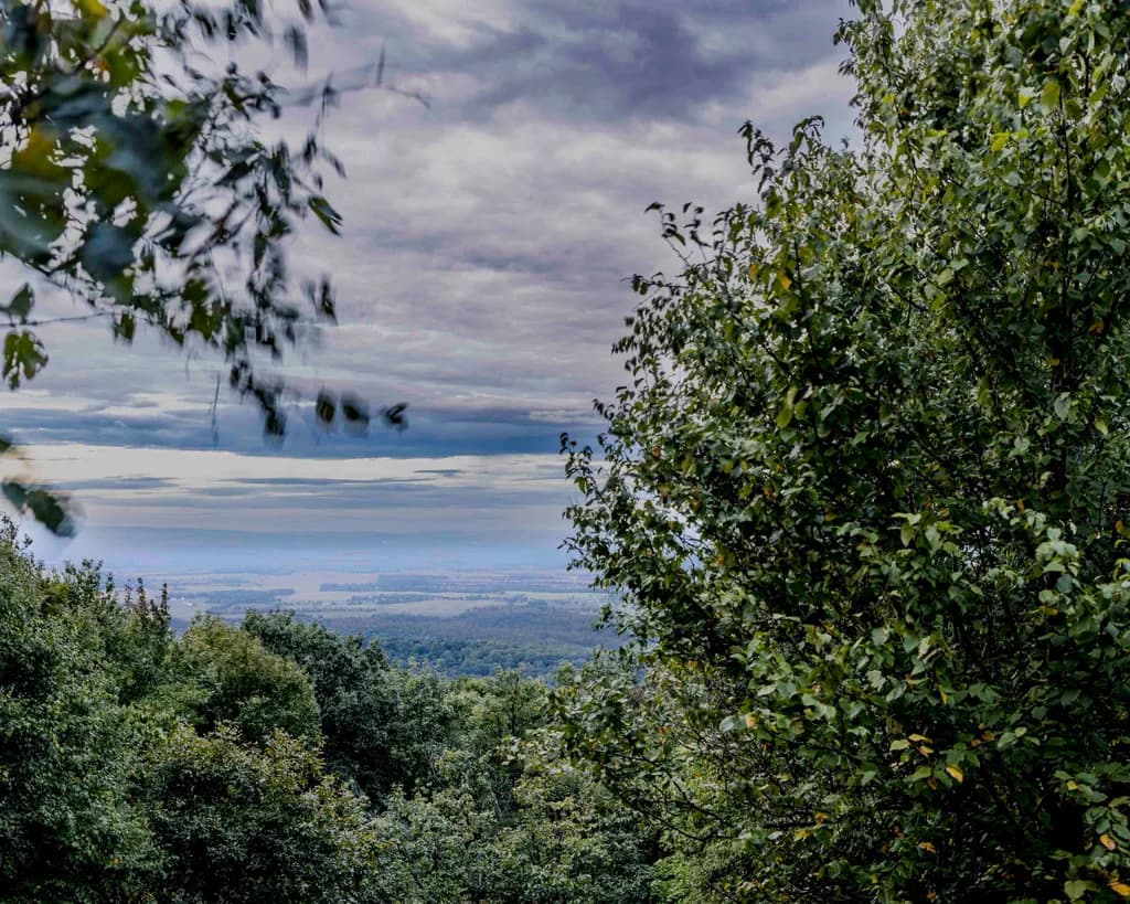 Shenandoah Valley