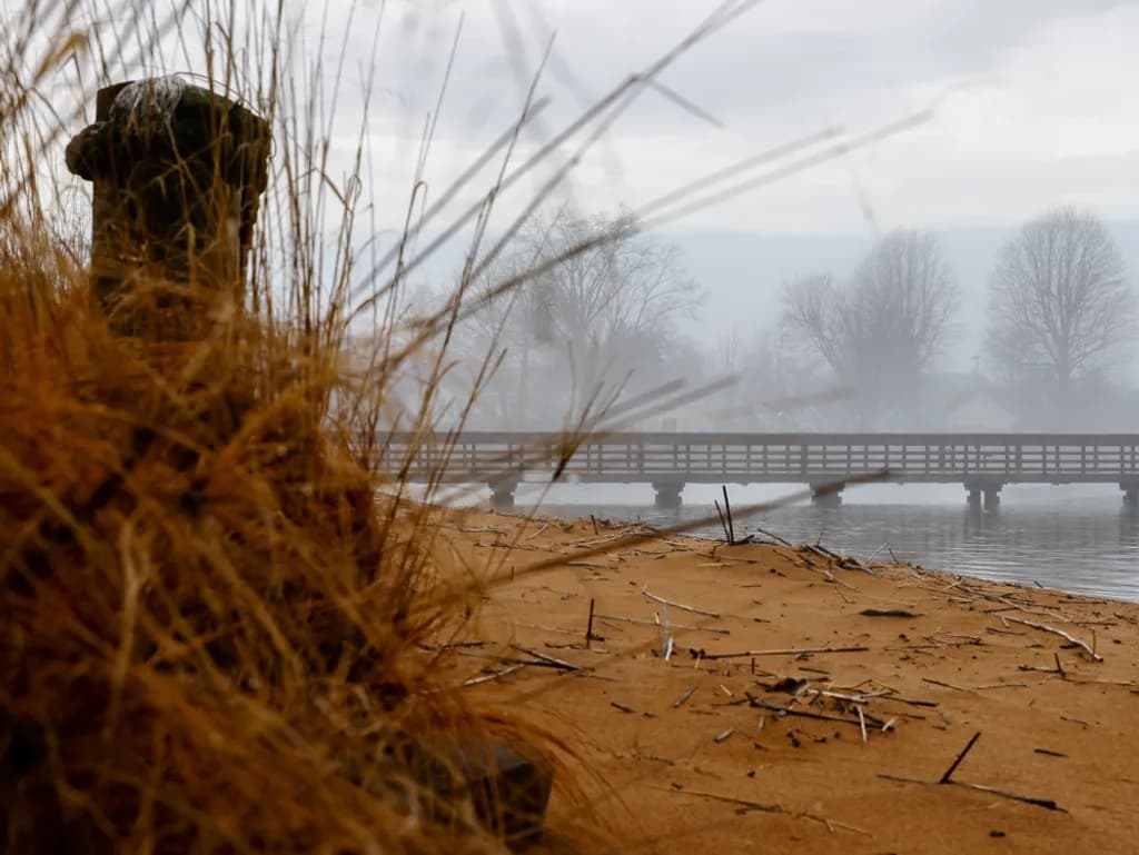 Misty Shoreline