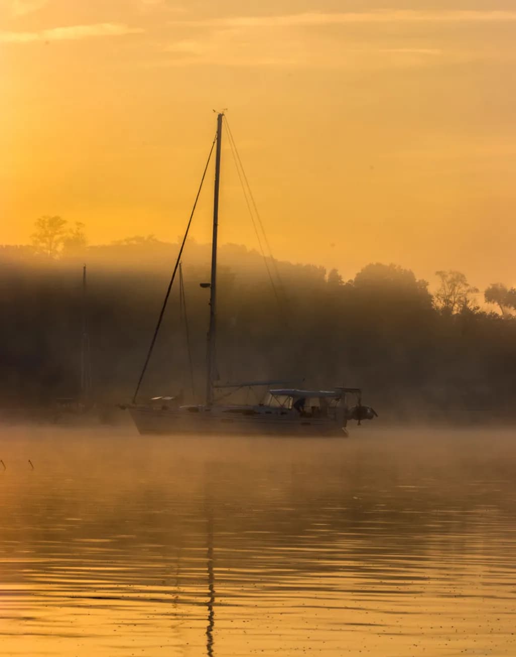 Ghost Fleet of Chesapeake City-2